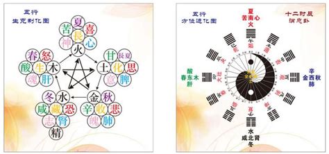 五行生剋制化|老子七律之五行生剋制化律淺析及應用簡析